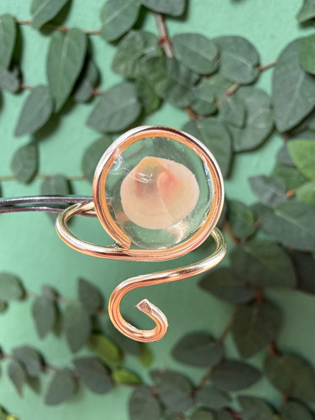 Real Shell Ring