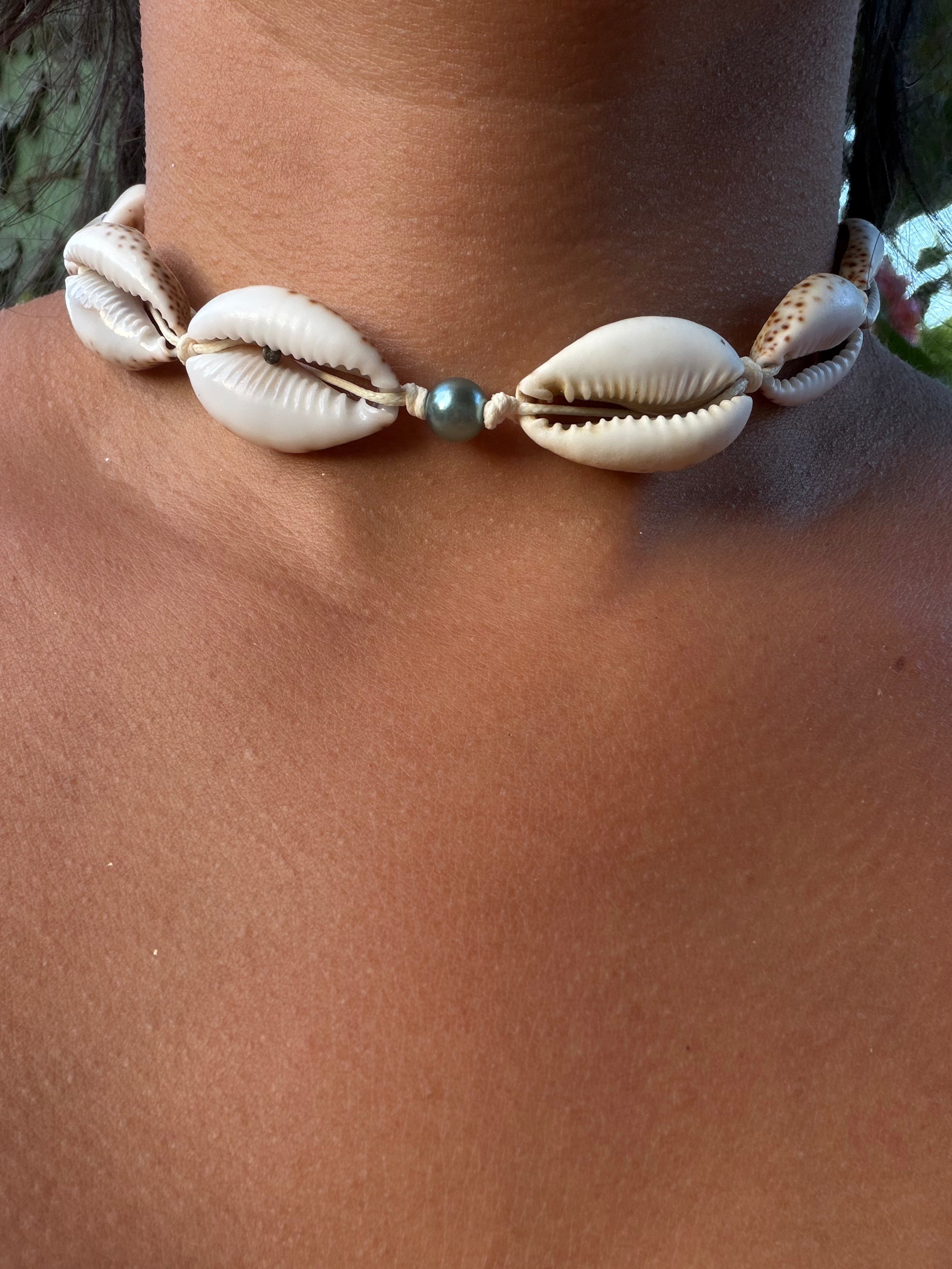 Sea Cowrie