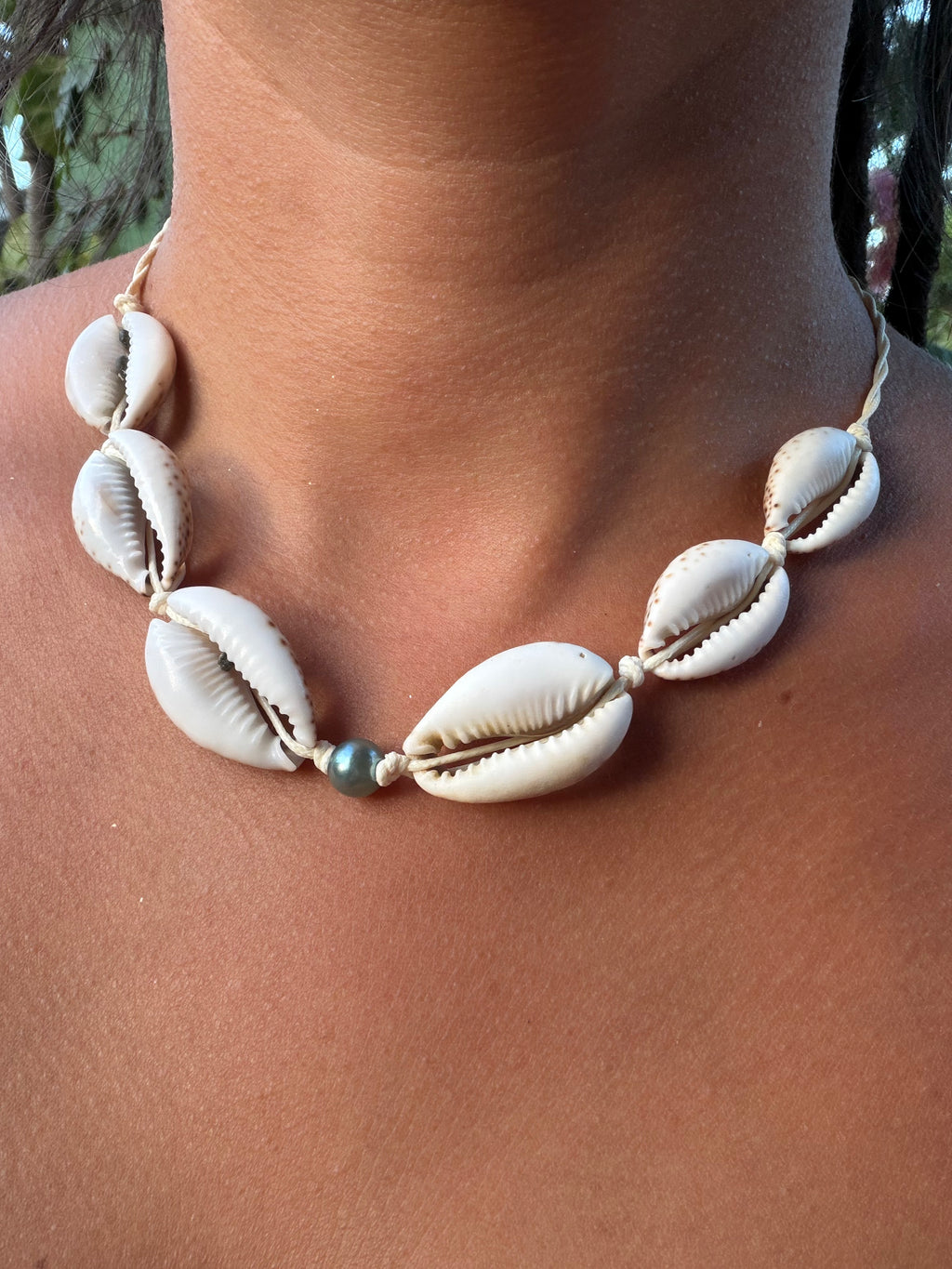 Sea Cowrie