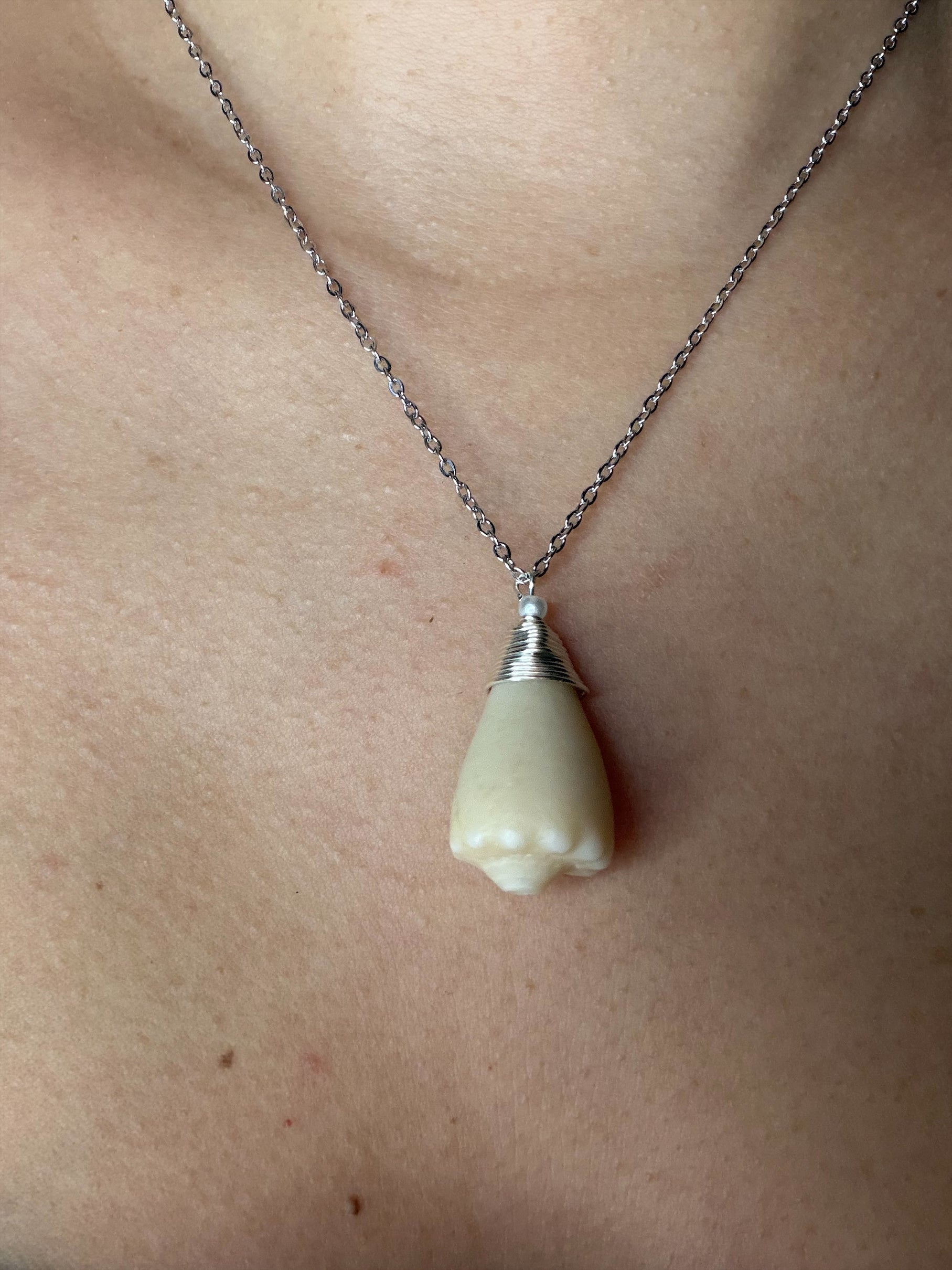 Unique Natural Shell