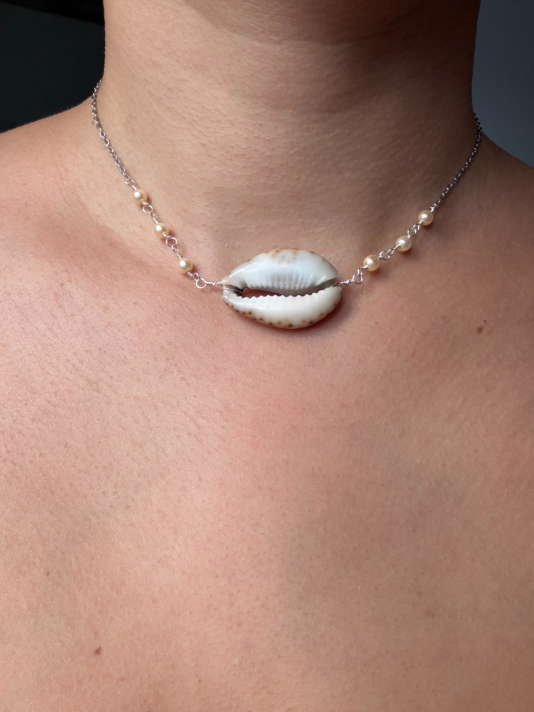 Real Cowrie Shell Peal